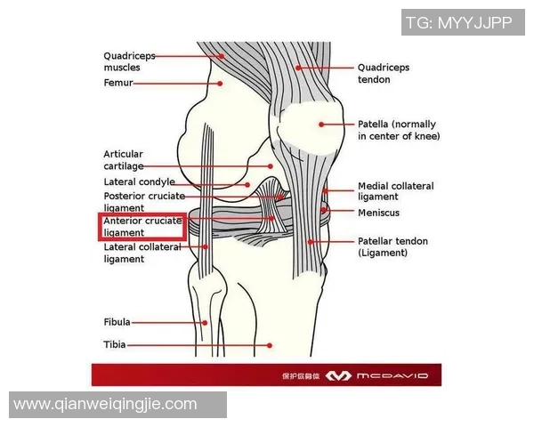 陕西联合官方确认李小一左膝十字韧带断裂康复周期预计需9至10个月